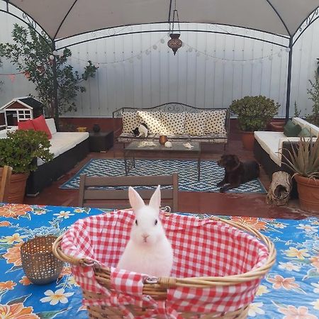 Small Room In Sants With Huge Terrace 바르셀로나 외부 사진