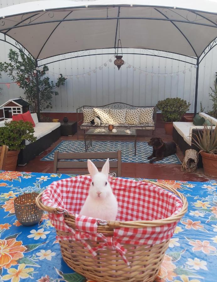 Small Room In Sants With Huge Terrace 바르셀로나 외부 사진