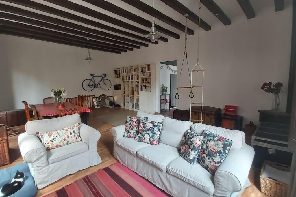 Small Room In Sants With Huge Terrace 바르셀로나 외부 사진