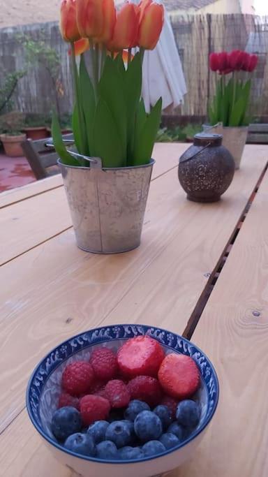 Small Room In Sants With Huge Terrace 바르셀로나 외부 사진